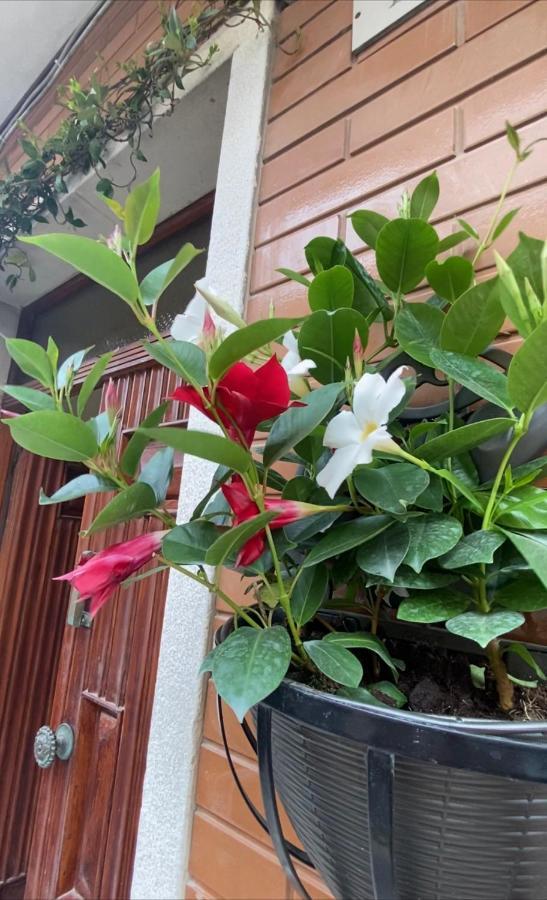 Ca Sal Holiday Home レージナ エクステリア 写真